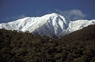View from Merimbah